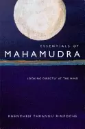 Image of essentials of mahamudra looking directly at the mind