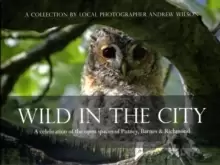 Image of Wild in the City : A Celebration of the Open Spaces of Putney, Barnes and Richmond
