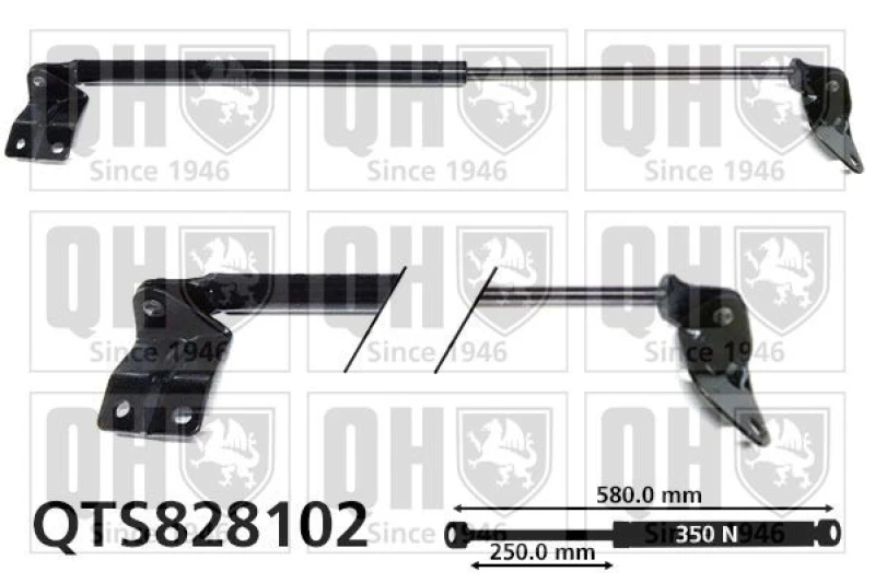 Image of QUINTON HAZELL Tailgate strut QUINTON HAZELL QTS828102