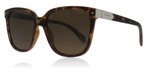 Image of Polaroid PLD6036/S Sunglasses Matte Havana N9P Polariserade 53mm