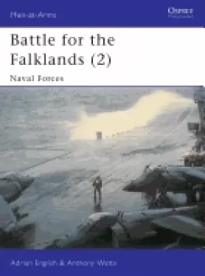 Image of battle for the falklands naval forces