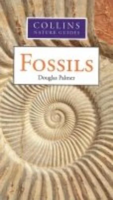 Image of Hamlyn Guide to Fossils Paperback