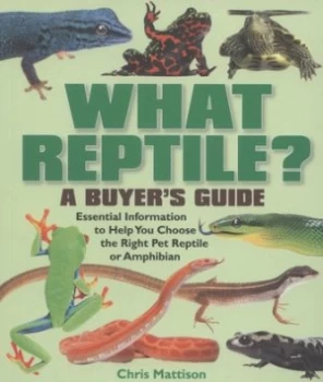 Image of What Reptile by Chris Mattison Paperback