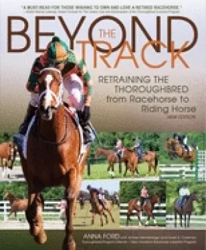 Image of beyond the track retraining the thoroughbred from racehorse to riding horse