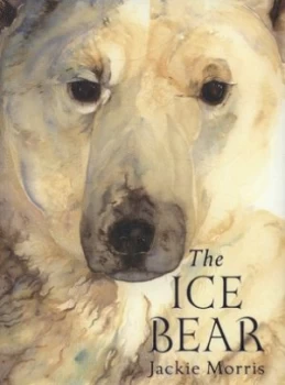 Image of The Ice Bear by Jackie Morris Hardback