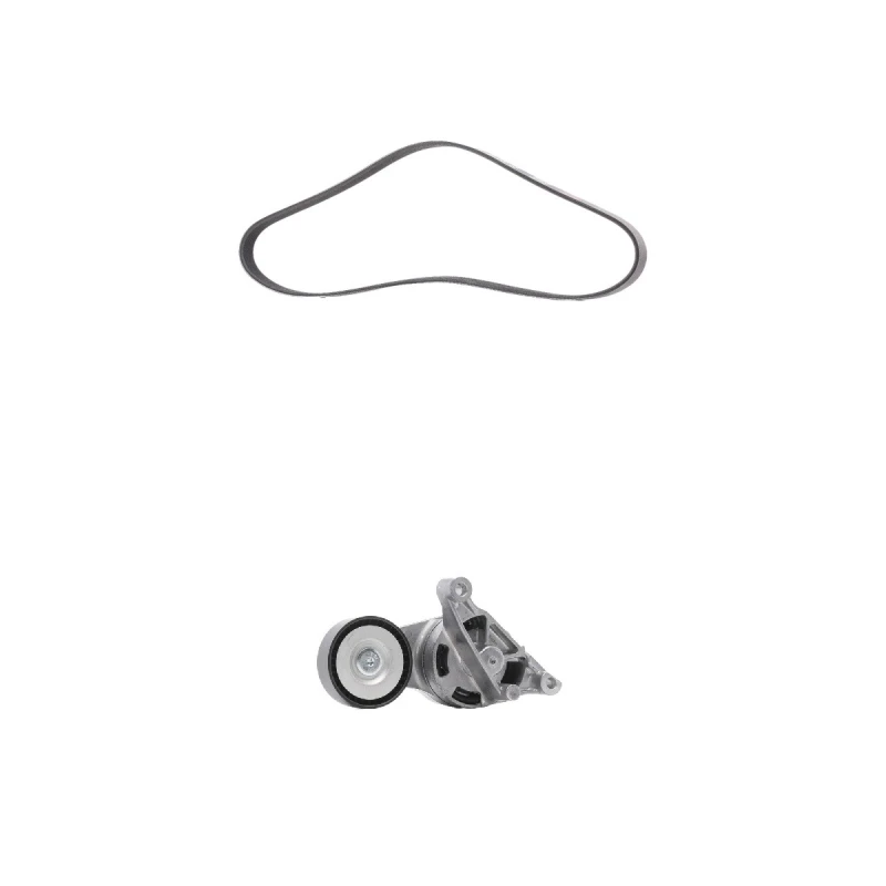 Image of RIDEX PLUS 542R0256P V-ribbed belt set V-Ribbed Belt Set (542)