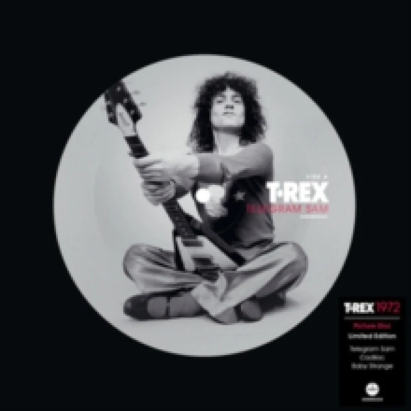 Image of Telegram Sam Vinyl