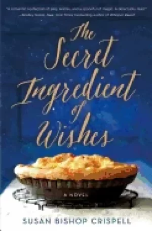 Image of secret ingredient of wishes a novel