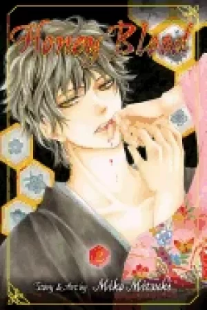 Image of honey blood vol 2 volume 2