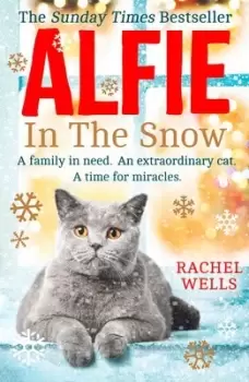 Image of Alfie in the snow by Rachel Wells