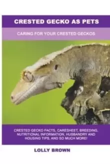 Image of Crested Gecko as Pets : Caring For Your Crested Geckos