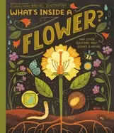 Image of whats inside a flower and other questions about science and nature