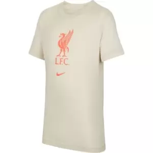 Image of Nike Liverpool T-Shirt Junior - Grey