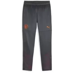 Puma Manchester City Training Bottoms 2023 2024 Juniors - Grey