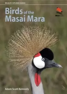Image of Birds of the Masai Mara