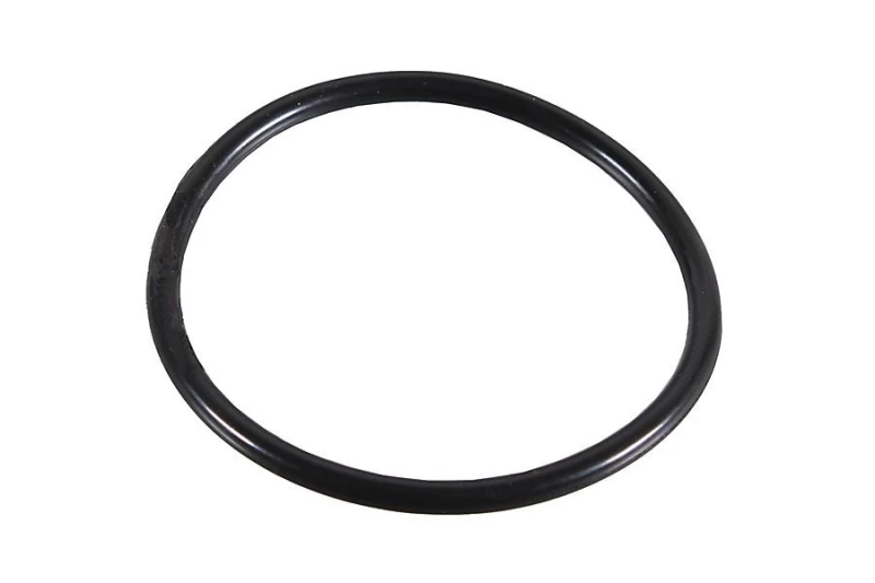 Image of Seal Ring METZGER 2430038