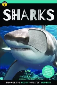 Image of Sharks by Mary Atkinson