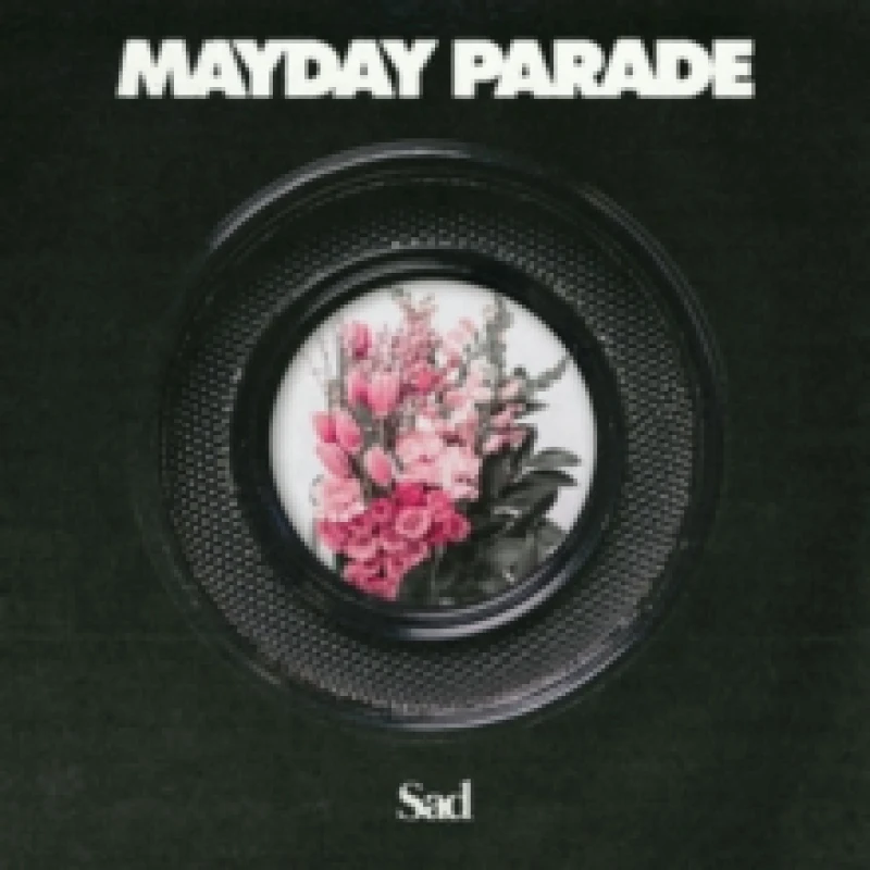 Image of Sad Vinyl