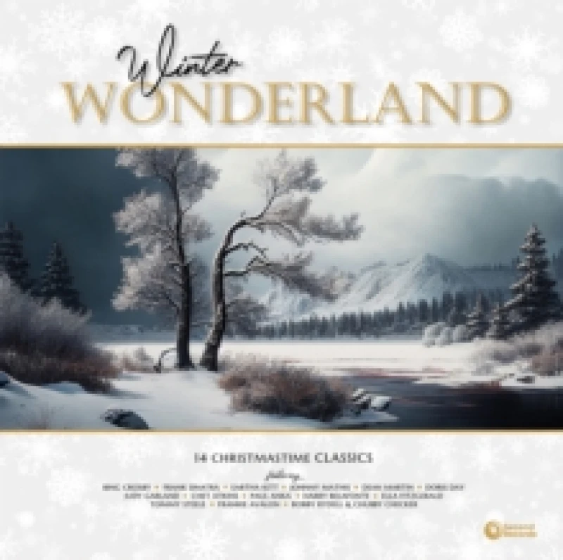 Image of Winter wonderland Vinyl