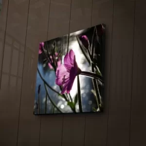 Image of 2828?ACT-46 Multicolor Decorative LED Lighted Canvas Painting