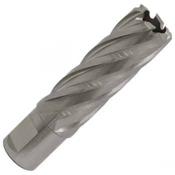 Image of Worksafe RBHSS22L Rotabor Cutter HSS Ø22mm - Cut Depth 50mm