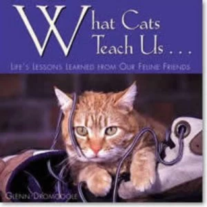 Image of What Cats Teach Us-- by Glenn Dromgoole Book