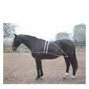 Image of Shires Lunging Aid - Black