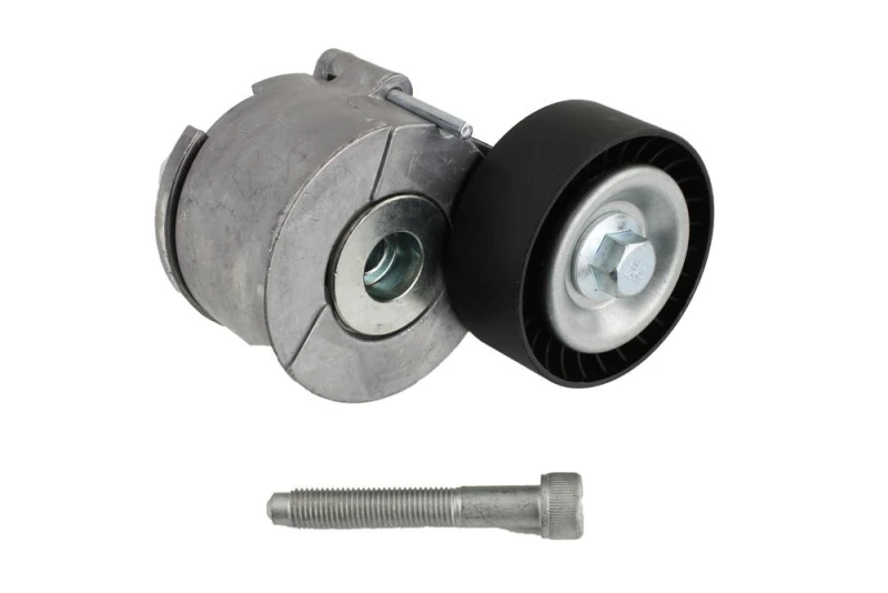 Image of FAST FT44614 Tensioner Pulley Tensioner Pulley,v-ribbed belt (310)