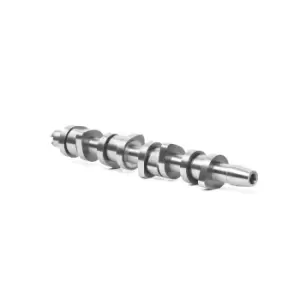 Image of RIDEX Camshaft Cast Iron 566C0127 Cam Kit,Camshaft Kit VW,AUDI,FORD,Golf IV Schragheck (1J1),Golf V Schragheck (1K1),POLO (9N_),TOURAN (1T1, 1T2)