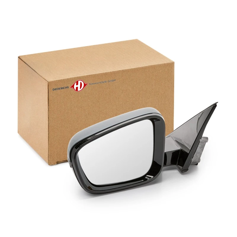 Image of Wing mirror DIEDERICHS 1219125
