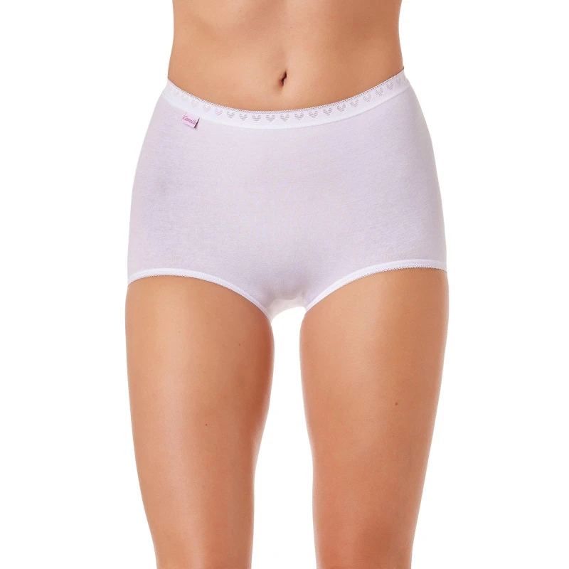 Image of Camille Pack Cotton Maxi Briefs - White White 14