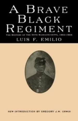 Image of A brave Black regiment by Luis F Emilio