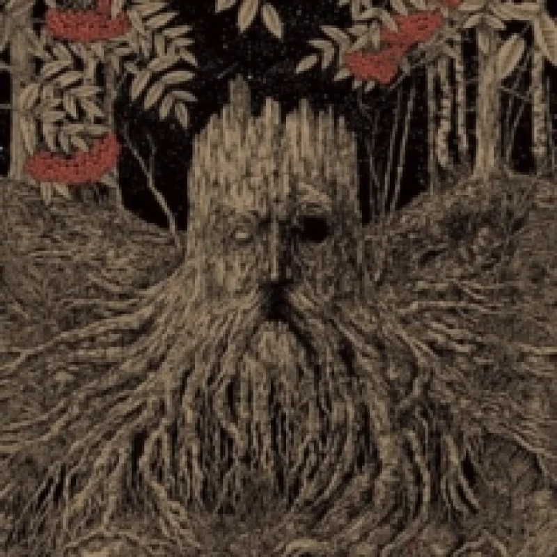 Image of Olhava CD / Album