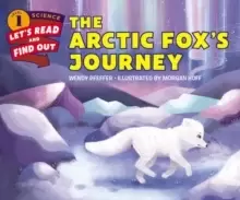 Image of The Arctic Fox's Journey