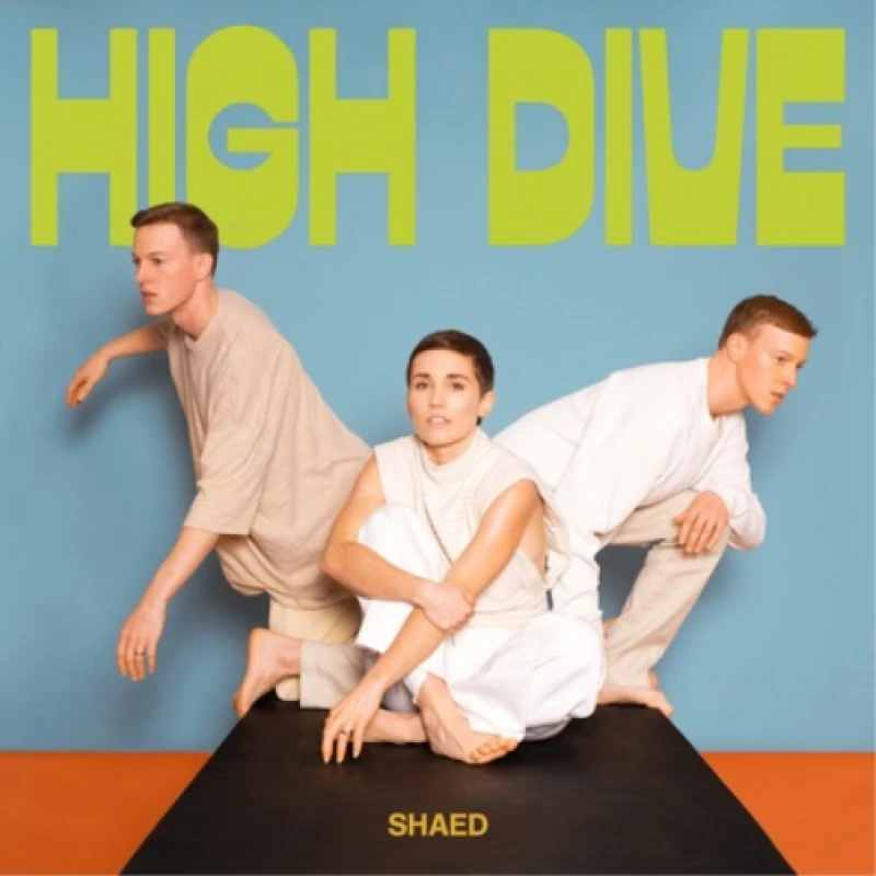 Image of High Dive Vinyl