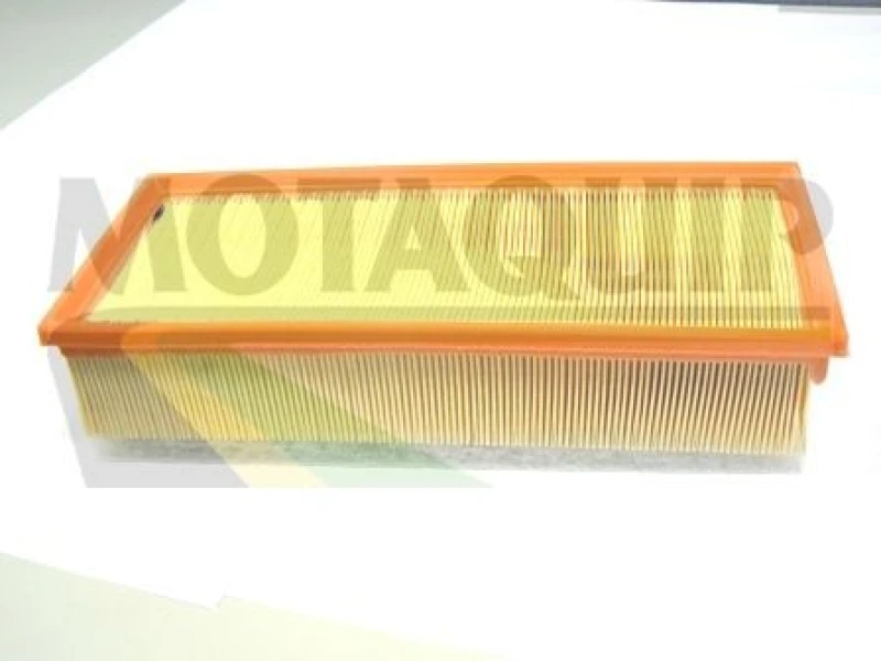 Image of MOTAQUIP Air filter MOTAQUIP VFA1158