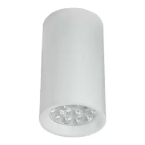 Image of Larissa Lighting - Larissa Momin Surface Mounted Ceiling Lamp Downlight Spot 1 Light Aluminium White
