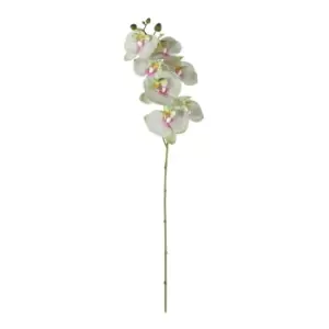 Image of Gallery Interiors Set of 3 Toni Phalaenopsis Orchid Green