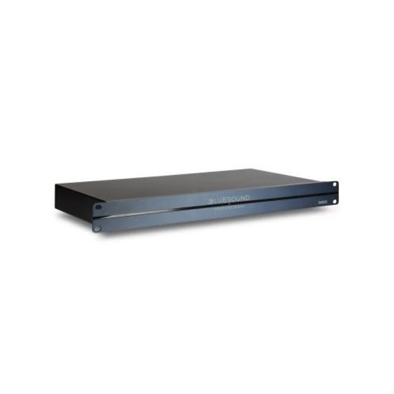Image of Bluesound Professional B400S