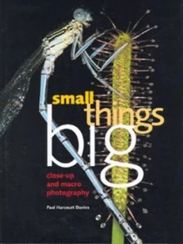 Image of Small Things Big by Paul Harcourt Davies Hardback