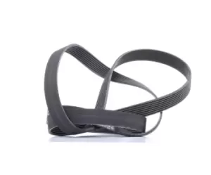 Image of CONTITECH V-ribbed belt 8PK2092 Serpentine belt,Auxiliary belt LAND ROVER,SCANIA,Range Rover Sport (L320),Discovery III (L319),Discovery IV (L319)