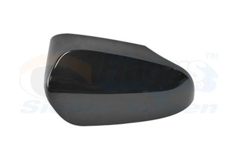 Image of VAN WEZEL Wing mirror cover VAN WEZEL 5407844
