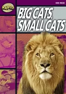 Image of Rapid Reading: Big Cats Small Cats (Stage 1, Level 1A)