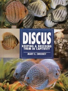Image of Discus by Mary E Sweeney Paperback