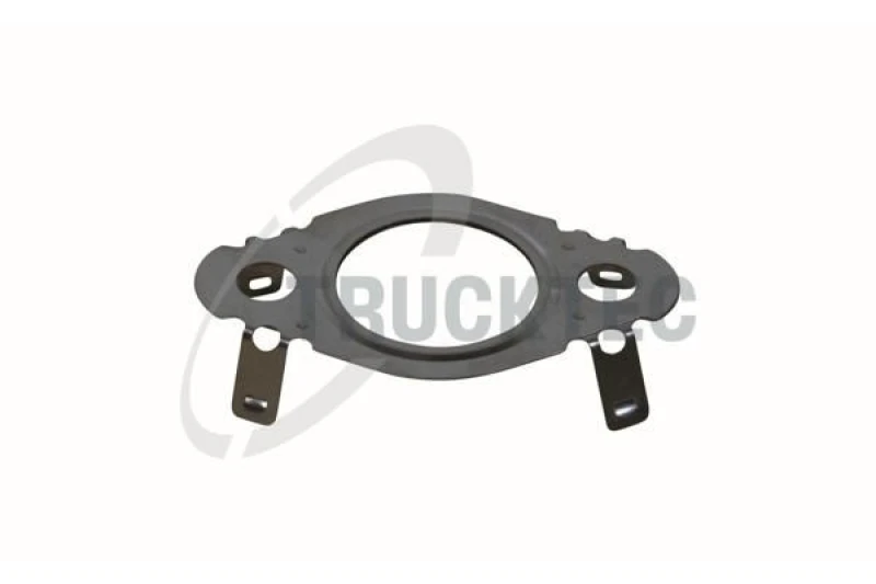 Image of EGR valve gasket TRUCKTEC AUTOMOTIVE 07.16.053