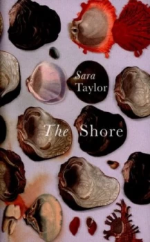Image of The Shore by Sara Taylor Hardback