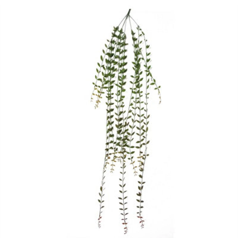 Image of Leaf 120cm Artificial Hanging String of Pearls Green unisex