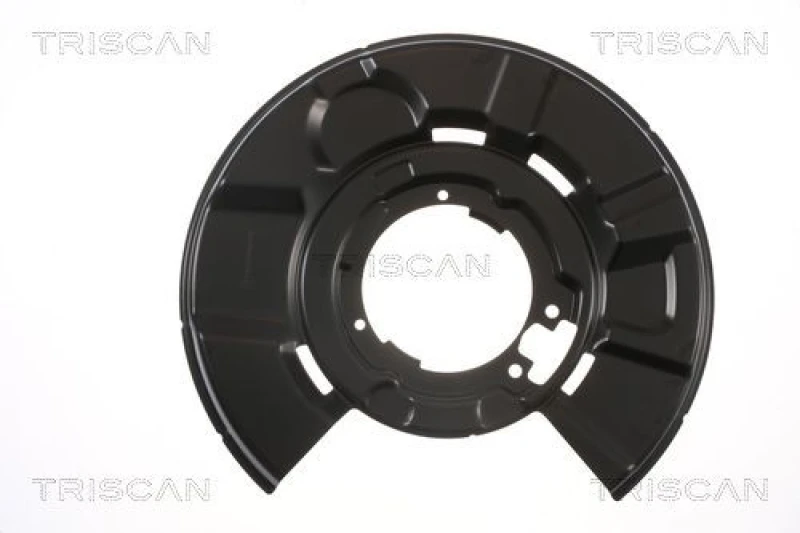 Image of TRISCAN Brake disc backing plate TRISCAN 8125 11206