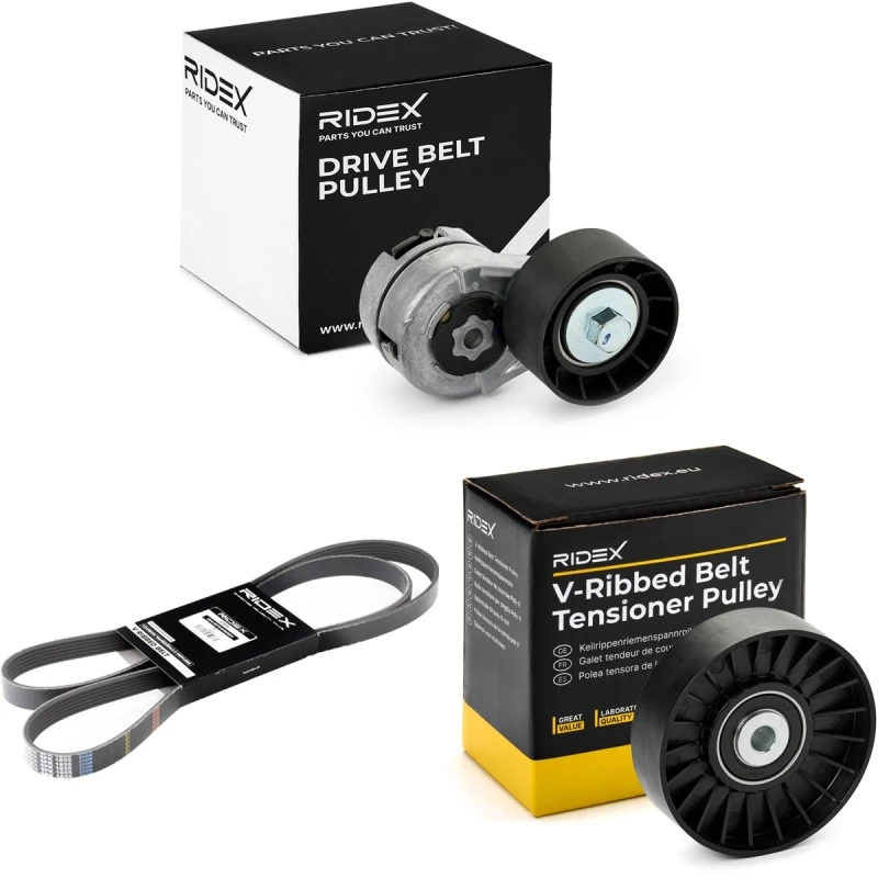 Image of RIDEX 542R0569 V-ribbed belt set V-Ribbed Belt Set (542)