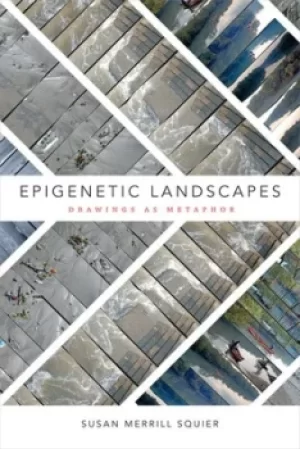 Image of Epigenetic Landscapes by Susan Merrill Squier